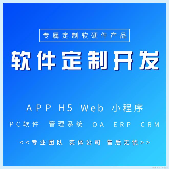 系统软件开发公司